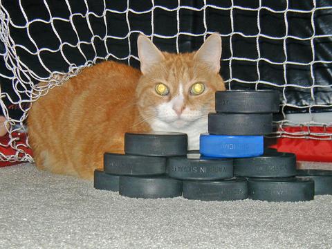 The Original HockeyCat